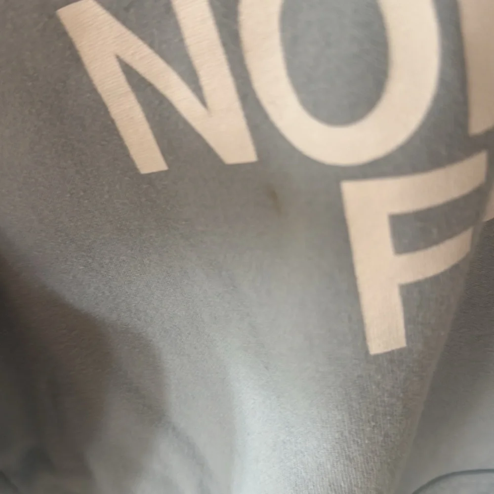 The North Face Men's Light Blue Hoodie